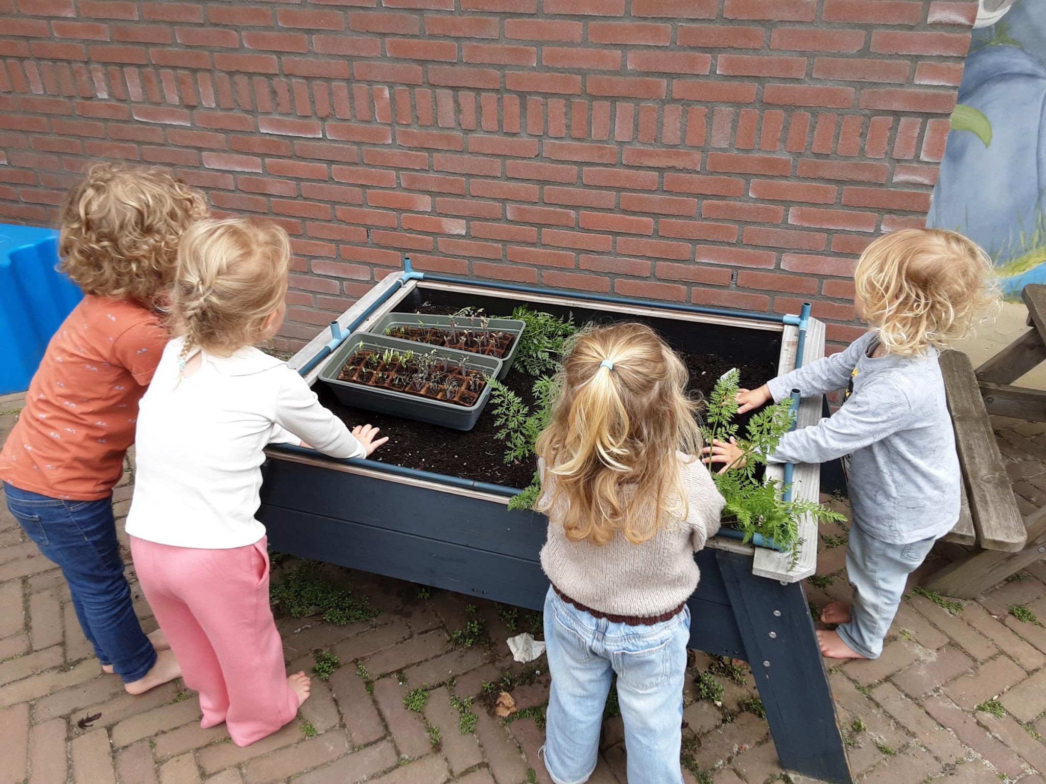Kinderen bij KDV Kiddies bij de kruiden